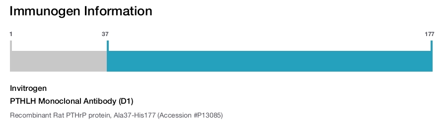 PTHLH Monoclonal Antibody (D1)