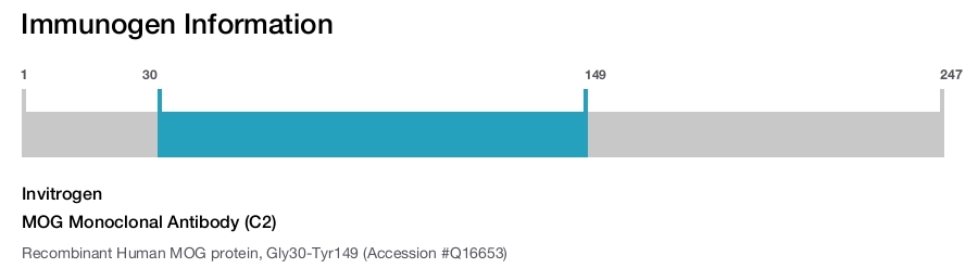 MOG Monoclonal Antibody (C2)