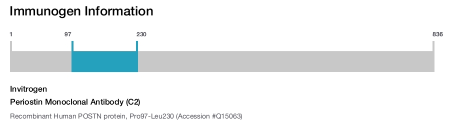 Periostin Monoclonal Antibody (C2)