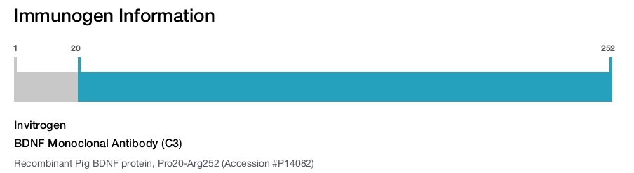 BDNF Monoclonal Antibody (C3)
