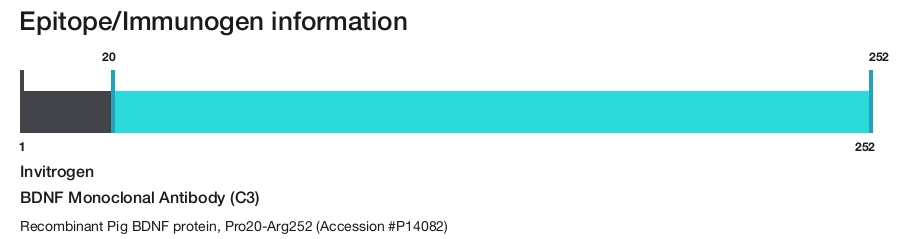 BDNF Monoclonal Antibody (C3)