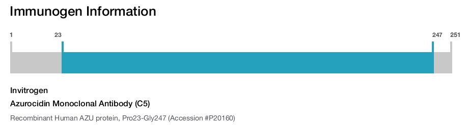 Azurocidin Monoclonal Antibody (C5)