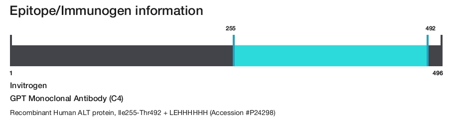 GPT Monoclonal Antibody (C4)