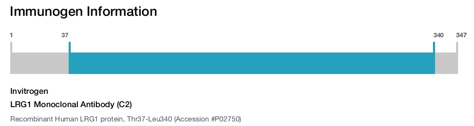 LRG1 Monoclonal Antibody (C2)