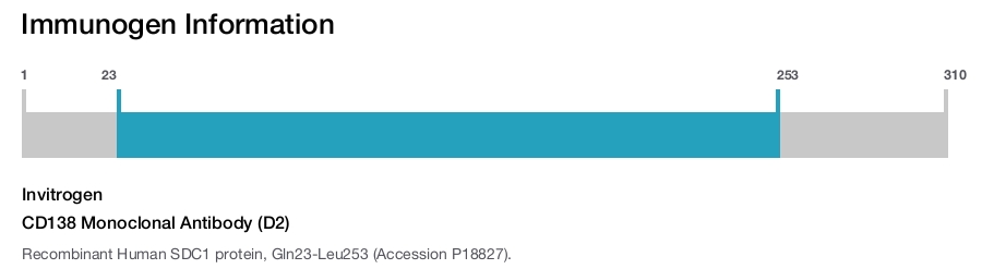 CD138 Monoclonal Antibody (D2)