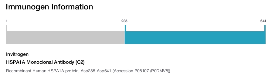 HSPA1A Monoclonal Antibody (C2)