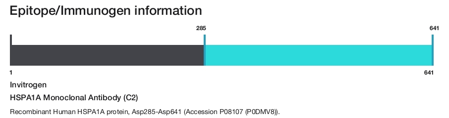 HSPA1A Monoclonal Antibody (C2)