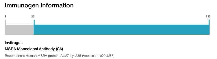 MSRA Monoclonal Antibody (C6)