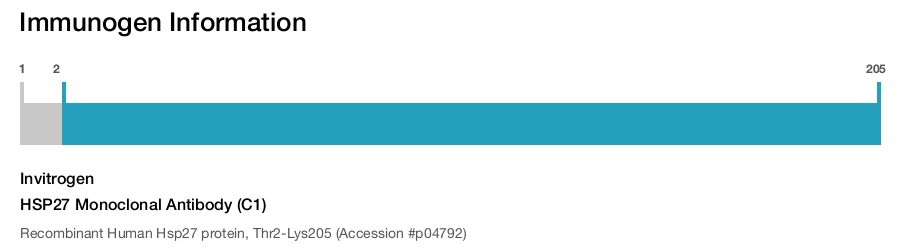 HSP27 Monoclonal Antibody (C1)