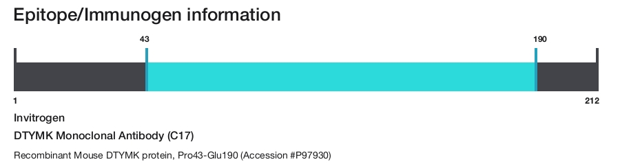 DTYMK Monoclonal Antibody (C17)