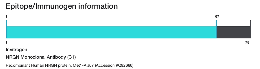 NRGN Monoclonal Antibody (C1)