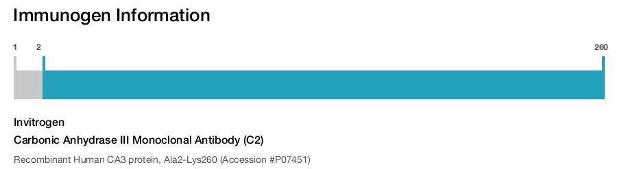Carbonic Anhydrase III Monoclonal Antibody (C2)