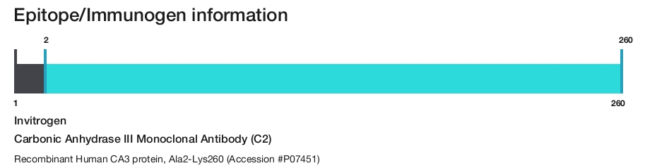 Carbonic Anhydrase III Monoclonal Antibody (C2)