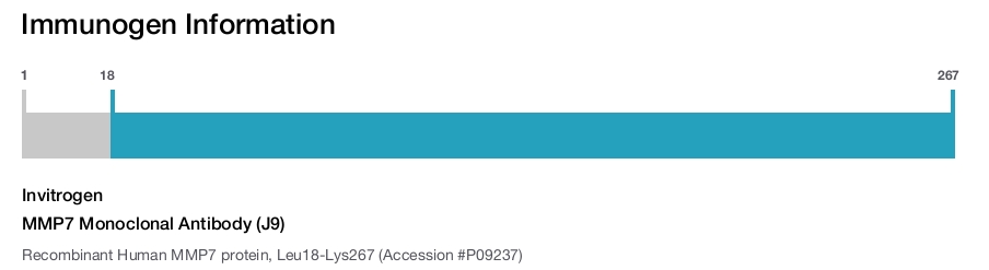 MMP7 Monoclonal Antibody (J9)