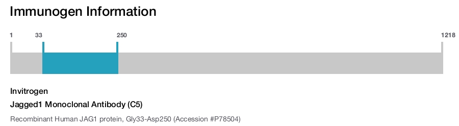 Jagged1 Monoclonal Antibody (C5)