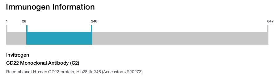 CD22 Monoclonal Antibody (C2)