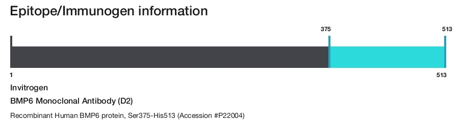 BMP6 Monoclonal Antibody (D2)