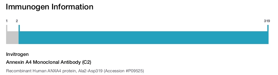 Annexin A4 Monoclonal Antibody (C2)