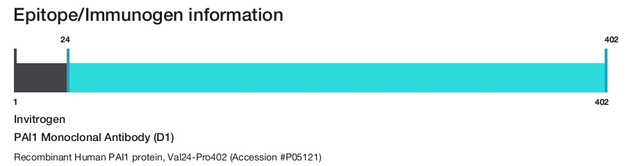 PAI1 Monoclonal Antibody (D1)