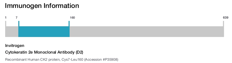 Cytokeratin 2e Monoclonal Antibody (D2)