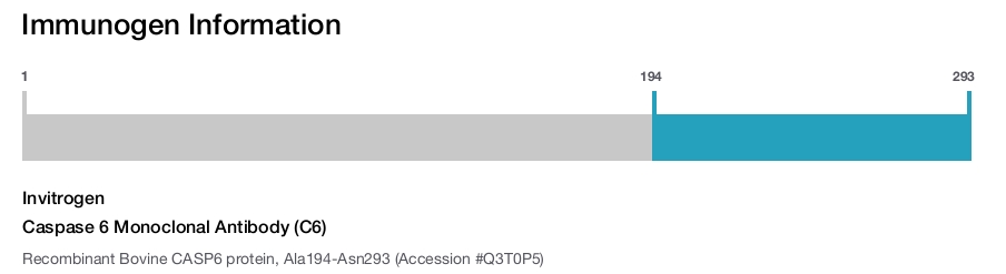 Caspase 6 Monoclonal Antibody (C6)