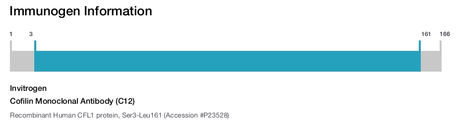 Cofilin Monoclonal Antibody (C12)