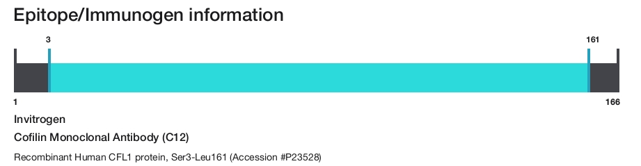 Cofilin Monoclonal Antibody (C12)