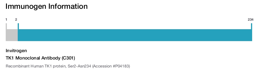 TK1 Monoclonal Antibody (C301)