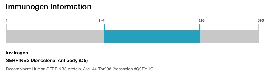 SERPINB3 Monoclonal Antibody (D5)