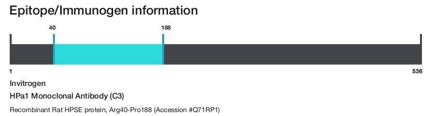 HPa1 Monoclonal Antibody (C3)