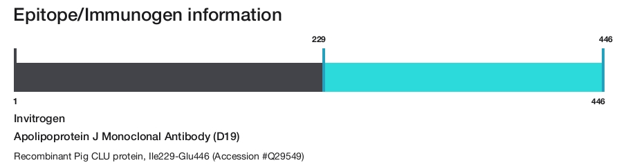 Apolipoprotein J Monoclonal Antibody (D19)