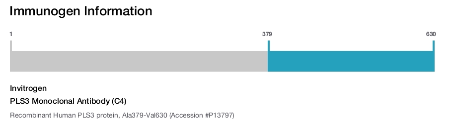 PLS3 Monoclonal Antibody (C4)