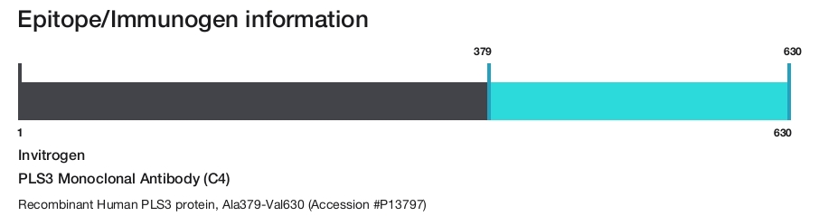 PLS3 Monoclonal Antibody (C4)