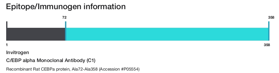 C/EBP alpha Monoclonal Antibody (C1)