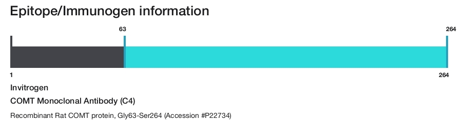 COMT Monoclonal Antibody (C4)