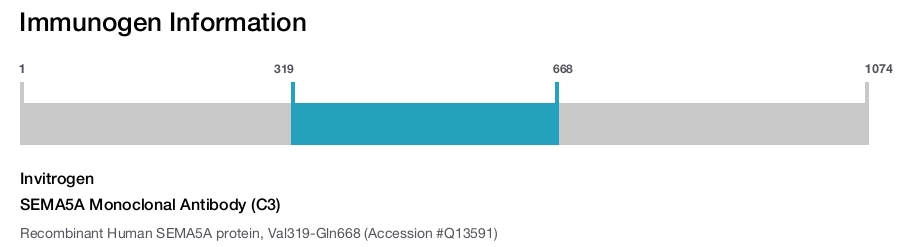 SEMA5A Monoclonal Antibody (C3)