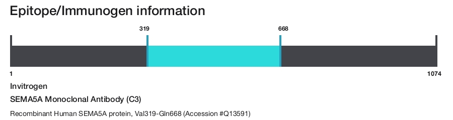 SEMA5A Monoclonal Antibody (C3)