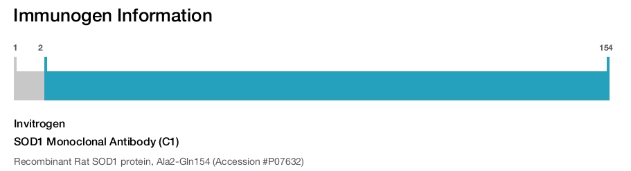 SOD1 Monoclonal Antibody (C1)