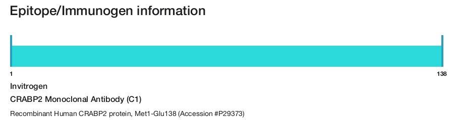 CRABP2 Monoclonal Antibody (C1)