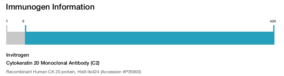 Cytokeratin 20 Monoclonal Antibody (C2)