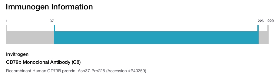CD79b Monoclonal Antibody (C8)