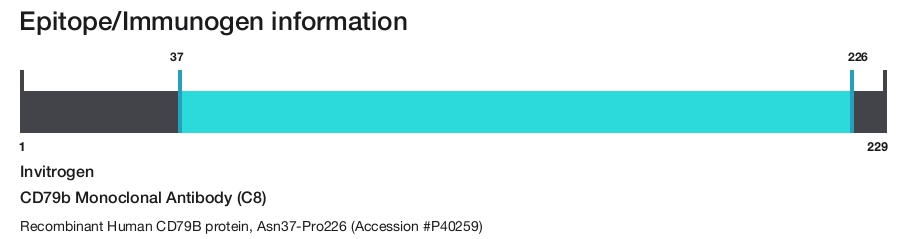 CD79b Monoclonal Antibody (C8)