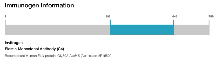 Elastin Monoclonal Antibody (C4)