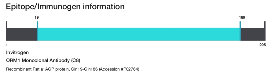 ORM1 Monoclonal Antibody (C8)