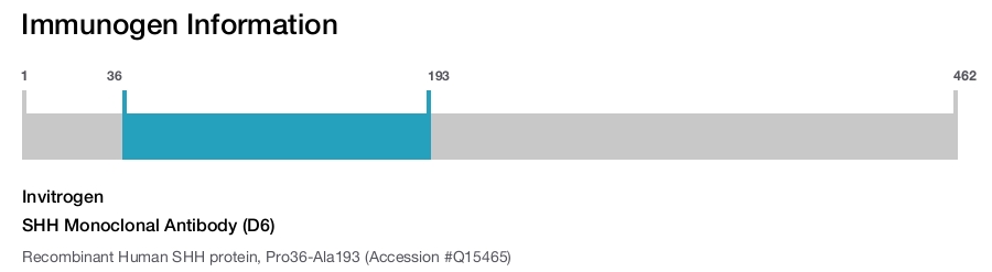SHH Monoclonal Antibody (D6)