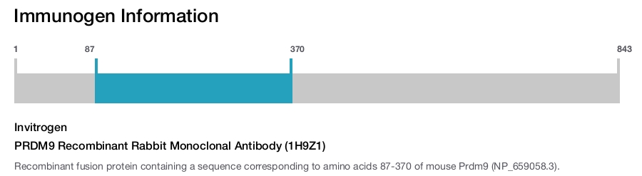 PRDM9 Recombinant Rabbit Monoclonal Antibody (1H9Z1)
