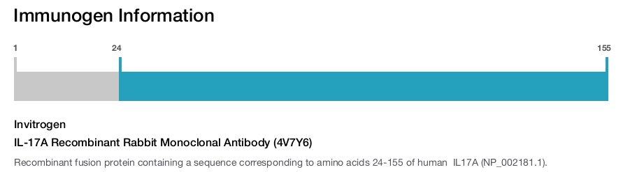 IL-17A Recombinant Rabbit Monoclonal Antibody (4V7Y6)