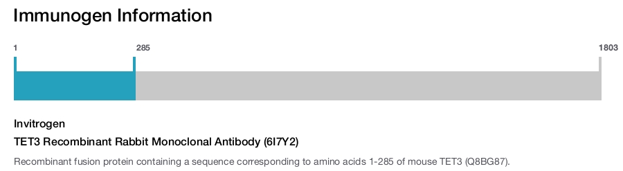 TET3 Recombinant Rabbit Monoclonal Antibody (6I7Y2)