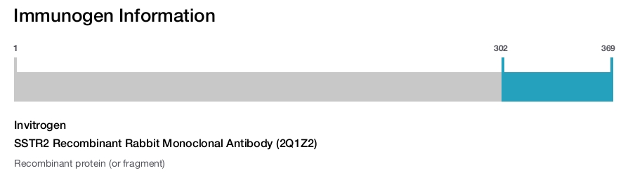 SSTR2 Recombinant Rabbit Monoclonal Antibody (2Q1Z2)