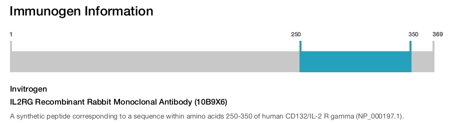 IL2RG Recombinant Rabbit Monoclonal Antibody (10B9X6)